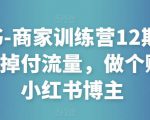 小红书-商家训练营12期：让商家丢掉付流量，做个赚钱的小红书博主-大东资源库