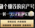 刘广标·同城房产号线上陪跑课，拍摄、剪辑、写文案、直播，做一个具有潜力价值的房产号-大东资源库