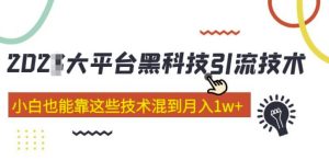 大平台黑科技引流技术，小白也能靠这些技术混到月入1w+(2022年的课程）-大东资源库
