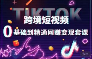 跨境短视频TIKTOK 0基础到精通网赚变现套课，跨境短视频独立站带货变现技巧-大东资源库