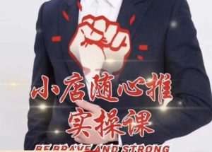 随心推线上课，小店随心推的投放逻辑，投放技巧，快速打标签-大东资源库