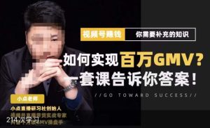 视频号变现进阶课，视频号六大变现模式，对平台的各项功能详细讲解，让你快速选择赛道-大东资源库