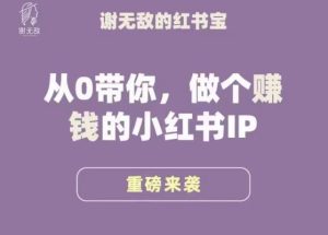 谢无敌·小红书运营大宝典，从0带你做个赚钱的小红书IP-大东资源库