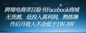 跨境电商项目脸书Facebook商城无货源，低投入高利润，熟练操作后月收入不会低于1W-3W-大东资源库