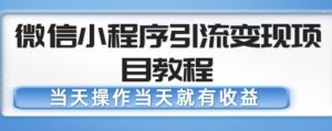 微信小程序引流变现项目教程，当天操作当天就有收益，变现不再是难事-大东资源库