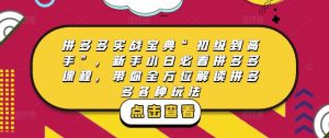 拼多多实战宝典“初级到高手”，新手小白必看拼多多课程，带你全方位解读拼多多各种玩法-大东资源库