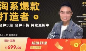 锋投老叶全店动销，淘系干货汇总，各种玩法，淘系爆款打造者-大东资源库