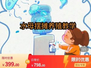 水母摆摊教学，包括摆摊技术、养殖技术、拿货渠道、抖音运营等-大东资源库