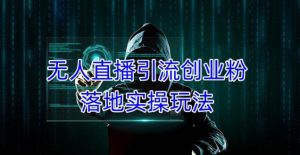 外面收费3980的无人直播引流创业粉落地实操玩法，单日引100+精准创业粉-大东资源库