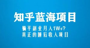 知乎蓝海玩法，躺平副业月入1W+，真正的睡后收入项目（6节视频课）-大东资源库
