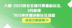 大炮·2023拼多多强付费最新玩法，3月新课​78分钟详细讲解玩法流程-大东资源库