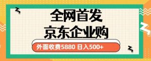 3月最新京东企业购教程，小白可做单人日利润500+撸货项目（仅揭秘）-大东资源库
