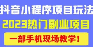 抖音小程序9.0新技巧，2023热门副业项目，动动手指轻松变现-大东资源库