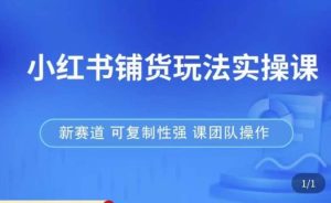 小红书铺货玩法实操课，流量大，竞争小，非常好做，新赛道，可复制性强，可团队操作-大东资源库