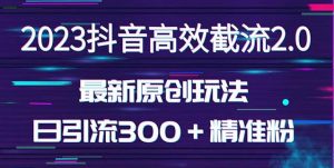 日引300＋创业粉，独家抖音高效截流2.0玩法（价值1280）-大东资源库