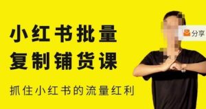 张宾·小红书批量复制铺货课，小红书0-1快速起号变现玩法，抓住小红书的流量红利（更新2023年3月）-大东资源库