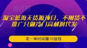 淘宝蓝海无货源项目，不囤货不推广只做冷门高利润代发，花一半时间赚10倍钱-大东资源库