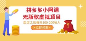 黄岛主·拼多多小网课无版权虚拟项目分享课：起店之后每天100-200收入-大东资源库