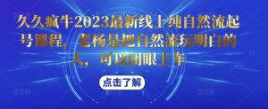久久疯牛2023最新线上纯自然流起号课程，老杨是把自然流玩明白的人，可以闭眼上车-大东资源库