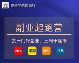 花爷-副业起跑营第2期，挑一门好副业，三周干起来（闲鱼｜小红书｜量化｜套利）-大东资源库