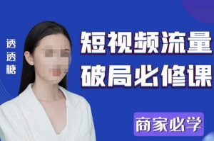 2023最新透糖短视频流量破局必修课——商家必学-大东资源库