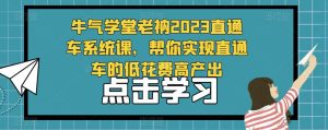 牛气学堂老衲2023直通车系统课,帮你实现直通车的低花费高产出-大东资源库