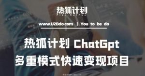 热狐计划：王大陆ChatGpt多重变现实操课，多种模式快速变现-大东资源库