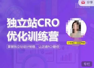独立站CRO优化训练营，掌握独立站设计秘籍，打造高转化的独立站，让店铺ROI翻倍-大东资源库