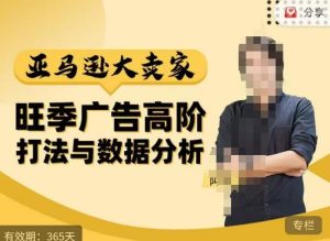 阿甘·亚马逊大卖家广告高阶打法与数据分析，走出传统广告误区；揭秘大卖惯用打法；数据驱动广告决策-大东资源库