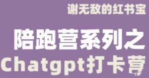 谢无敌ChatGPT打卡营，教你更好地使用ChatGPT来提高工作效率-大东资源库