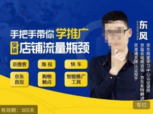 手把手带你学京东推广，突破店铺流量瓶颈，京搜客海投快车购物触点京东直投智能推广工具等-大东资源库