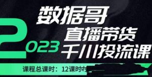 数据哥2023直播电商巨量千川付费投流实操课，快速掌握直播带货运营投放策略-大东资源库