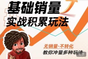 内功丨淘系基础销量实战积累玩法，无销量·不转化，教你冲量多种玩法-大东资源库