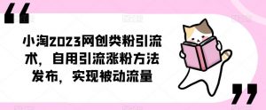 ​小淘2023网创类粉引流术，自用引流涨粉方法发布，实现被动流量-大东资源库