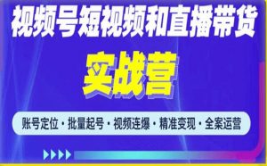 2023最新微信视频号引流和变现全套运营实战课程，小白也能玩转视频号短视频和直播运营-大东资源库