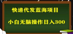 2023最新蓝海快递代发项目，小白零成本照抄也能日入300+-大东资源库