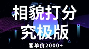 相貌打分究极版，客单价2000+纯新手小白就可操作的项目-大东资源库