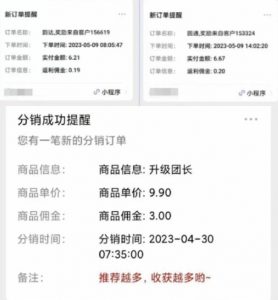 快递代发CPS，月入万元，不起眼却很赚钱的信息差项目【揭秘】-大东资源库