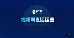 那个腾·视频号直播运营，​视频号直播推流逻辑/流量渠道解析/直播起号攻略/直播实操技巧-大东资源库