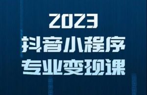2023年抖音小程序变现保姆级教程，0粉丝新号，无需实名，3天起号，第1条视频就有收入-大东资源库