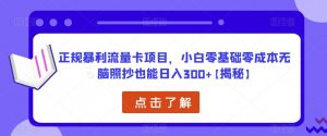 正规暴利流量卡项目，小白零基础零成本无脑照抄也能日入300+【揭秘】-大东资源库