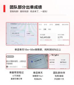 2023小红书电商火爆全网，新晋红利，风口项目，单店收益在3000-30000！-大东资源库