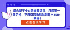 适合新手小白的搬砖项目，只需要一部手机、不用引流也能做到日入300+【揭秘】-大东资源库
