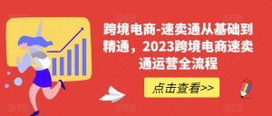 跨境电商-速卖通从基础到精通，2023跨境电商速卖通运营全流程-大东资源库
