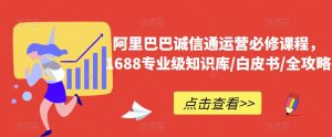 阿里巴巴诚信通运营必修课程，​1688专业级知识库/白皮书/全攻略-大东资源库
