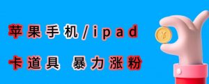 最新利用苹果手机/ipad的ios系统，卡道具搬短视频，百分百过原创-大东资源库