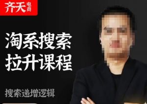 齐天电商·淘系搜索提升课程，​搜索递增标准化，动销标准化流程-大东资源库