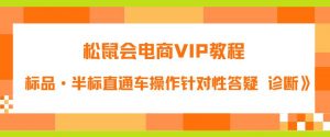 松鼠会电商VIP教程：松鼠《付费推广标品·半标直通车操作针对性答疑&诊断》-大东资源库