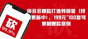 拼多多爆款打造特训营（持续更新中)，199元*100套可复制爆款案例-大东资源库