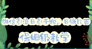 微信互推圈半自动引流方案，矩阵操作日引千人思路【详细视频教程】-大东资源库